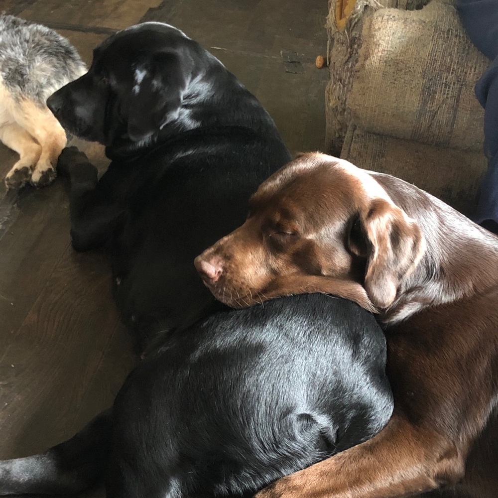 Meet your Posher, Cassie